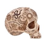 Product Φιγούρα Nemesis Now: Premium Quality - Apothecary Skull thumbnail image