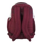 Product Τσάντα Πλάτης Harry Potter Gryffindor thumbnail image