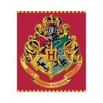 Product Harry Potter Hogwarts Coral Blanket thumbnail image