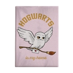 Product Harry Potter Hedwig Blanket thumbnail image