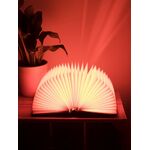 Product Book Light thumbnail image