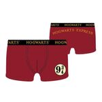 Product Μπόξερ Harry Potter Hogwarts Express thumbnail image