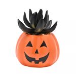 Product Διακοσμητικό Γλαστράκι Halloween Pumpkin thumbnail image