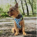 Product Toy Story Harness & Leash Set thumbnail image