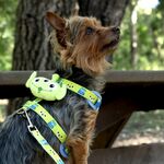 Product Toy Story Harness & Leash Set thumbnail image