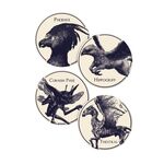 Product Harry Potter Magical Creatures Coasters Ceramic thumbnail image