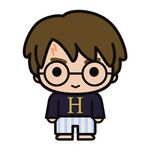 Product Harry Potter Shaped Cushion thumbnail image