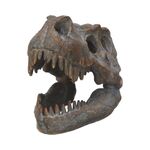 Product Nemesis Now: Tyrannosaurus - Rex Skull Freestanding (16cm) (D1245D5) thumbnail image