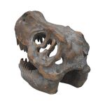 Product Nemesis Now: Tyrannosaurus - Rex Skull Freestanding (16cm) (D1245D5) thumbnail image