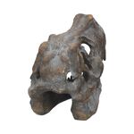 Product Nemesis Now: Tyrannosaurus - Rex Skull Freestanding (16cm) (D1245D5) thumbnail image