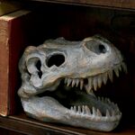 Product Nemesis Now: Tyrannosaurus - Rex Skull Freestanding (16cm) (D1245D5) thumbnail image