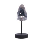 Product Φιγούρα Nemesis Now: Tyrannosaurus Rex Skull on Plinth thumbnail image