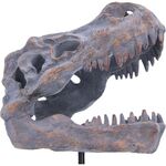 Product Φιγούρα Nemesis Now: Tyrannosaurus Rex Skull on Plinth thumbnail image