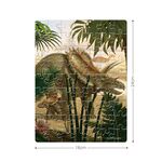 Product DS1042H Triceratops thumbnail image