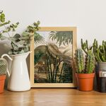 Product DS1042H Triceratops thumbnail image