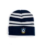 Product Harry Potter Ravenclaw Beanie thumbnail image
