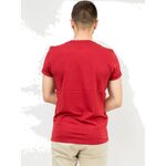 Product The Flash Classic Logo Red T-Shirt thumbnail image