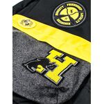 Product Harry Potter Hufflepuff Backpack thumbnail image