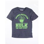Product Marvel The Incredible Hulk College T-Shirt thumbnail image