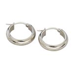 Product Lord Of The Rings The One Ring Earrings Stainless Steel thumbnail image