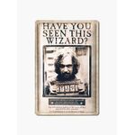 Product Harry Potter 3D Tin Sign Have You Seen This Wizard thumbnail image