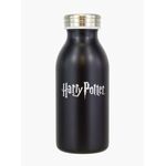 Product Harry Potter Trouble Water Bottle thumbnail image