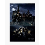 Product Harry Potter Poster Hogwarts Boats  thumbnail image