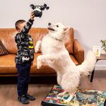 Product Παιχνίδι Σκύλου DC Batman Plush Dog Toy thumbnail image