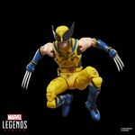 Product Φιγούρα Δράσης Marvel Deadpool And Wolverine -Wolverine Figure Legends Series thumbnail image