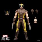 Product Marvel Deadpool And Wolverine -Wolverine (Brown Suit) Figure Legends Series thumbnail image