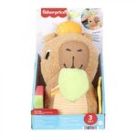 Product Fisher Price® - Snuggly Snacky Capy (HYR54) thumbnail image