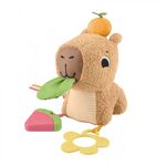 Product Fisher Price® - Snuggly Snacky Capy (HYR54) thumbnail image