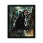 Product Harry Potter Deathly Hallows Snape Frame thumbnail image