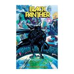 Product Black Panther Vol. 1: The Long Shadow Part 1 thumbnail image