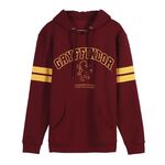 Product Φούτερ Harry Potter Gryffindor thumbnail image