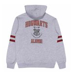 Product Φούτερ Harry Potter Hogwarts Alumni Zipper thumbnail image