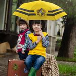 Product Harry Potter Hufflepuff Umbrella thumbnail image