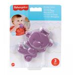Product Fisher Price® - Monkey Teether (JFJ96) thumbnail image