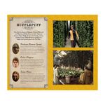 Product Harry Potter Hufflepuf Hardcover Ruled Journal thumbnail image