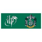 Product Harry Potter Boxed Slytherin Mug thumbnail image