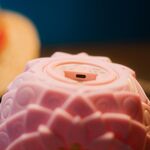 Product Φωτιστικό One Piece Flower-Flower Fruit Lamp thumbnail image