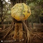 Product Ομπρέλα Lord Of The Rings Middle Earth Umbrella thumbnail image