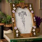 Product Κορνίζα Warner Bros Harry Potter Herbology Frame thumbnail image
