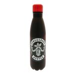 Product Stranger Things Metal Drinks Bottle thumbnail image
