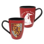 Product Harry Potter House Reveal Mug thumbnail image