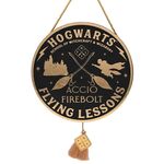 Product Harry Potter Alumni Pedent Flying Lesson thumbnail image