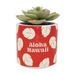 Product Disney Lilo And Stitch Faux Plant thumbnail image