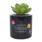 Product Disney Alice In Wonderland Plant Pot thumbnail image