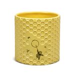 Product Disney Winnie The Pooh Honeycomb Plant Pot thumbnail image
