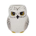 Product Harry Potter Hedwig Small Plant Pot thumbnail image